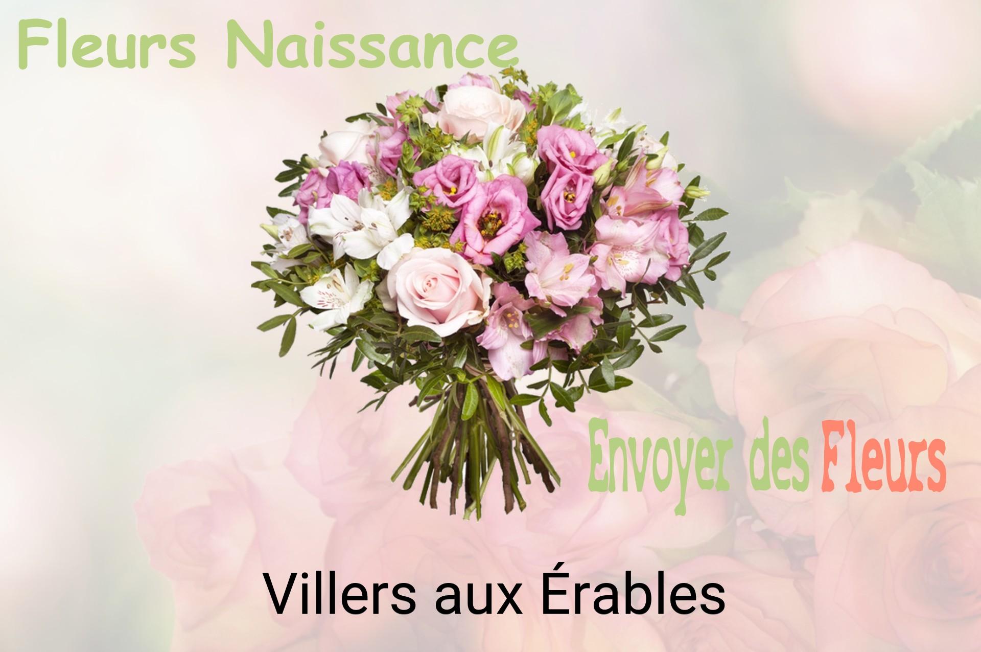 Bouquet de fleurs de naissance livré à Villers-aux-Érables