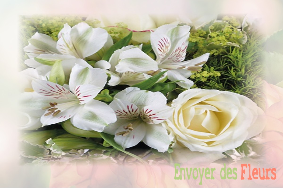 envoyer des fleurs à à VILLERS-AUX-ERABLES