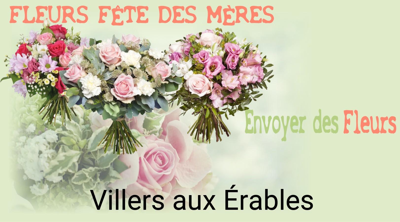 Bouquet de Fête des Mères livré à Villers-aux-Érables